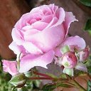 ���� Keti, �������, 54 ���� - ��������� 10 ������� 2014 � ������ ���� ������� ����!!!!�