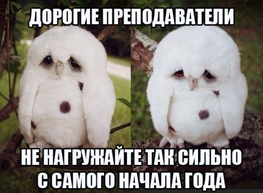 Art & Fun - 4  2014  07:47