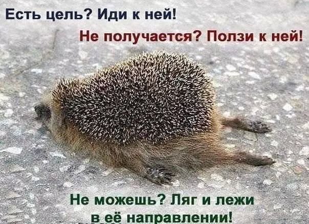 Василиса - 1 октября 2014 в 00:26