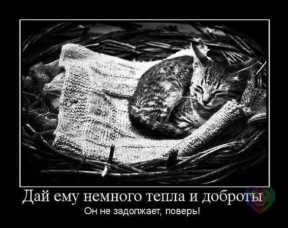 Art & Fun - 8  2014  02:27