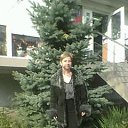 ���� �����, ���������, 50 ��� - ��������� 1 ������ 2014 � ������ ���� ����������