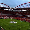 ���� ����, �����-���������, 40 ��� - ��������� 30 �������� 2014