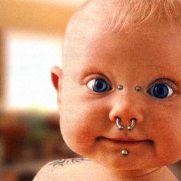 ������, ��������, 40 ���