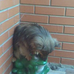 ���� �������, ����, 44 ���� - ��������� 15 ������ 2014