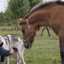 ���� �����, ������, 57 ��� - ��������� 5 �������� 2014 � ������ ���� ������