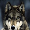 ���� ������, ��������, 72 ���� - ��������� 7 ������� 2014 � ������ ���� ����������