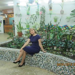 ����, ������, 58 ���