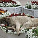 ���� ������, ������, 62 ���� - ��������� 10 ������� 2014 � ������ ���� ����������