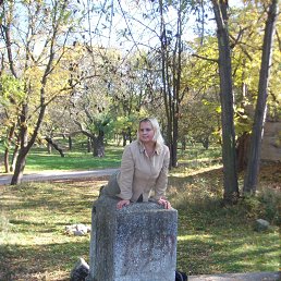 ���� �����, �����������, 42 ���� - ��������� 22 ������ 2014