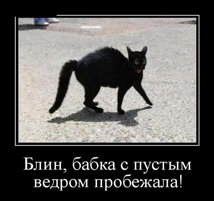   ,  : <a href=