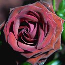 ���� �����, ������, 46 ��� - ��������� 17 �������� 2014 � ������ ������ ��������