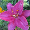 ���� �����, �����������, 66 ��� - ��������� 22 �������� 2014 � ������ �������