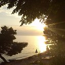  ,  -  25  2014    2014 