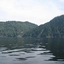 ����� �������� ����� . �� ������� ���� ����������