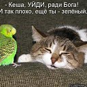 ���� ������, �����-���������, 50 ��� - ��������� 18 ������ 2014 � ������ ������ ��������