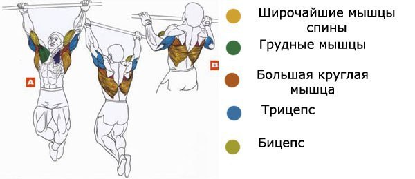Занятия на турнике. Самым незамысловатым в изготовлении и простым в использовании из всех ...