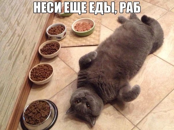    :-) - 1  2014  19:01