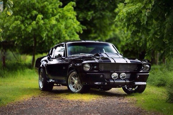 Shelby GT500E