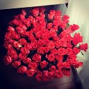 ���� �����, �������, 53 ���� - ��������� 20 ������ 2015 � ������ ���� ����������