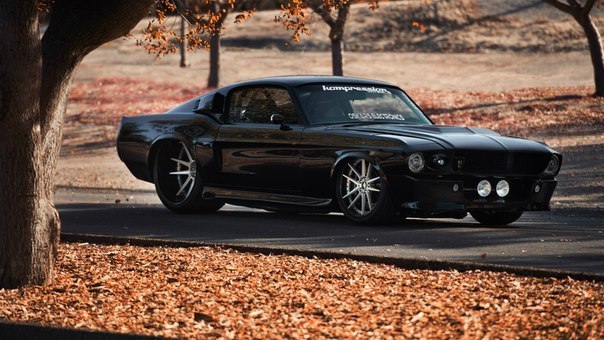 Ford Mustang Fastback