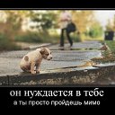 ���� �������, ������ - ��������� 15 ����� 2015 � ������ ��������������