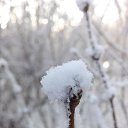 ���� Valka, ������, 63 ���� - ��������� 30 ������ 2015 � ������ ���� ����������