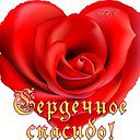 ���� � � � �, ������ - ��������� 9 ����� 2015 � ������ ������ ��������