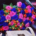 ���� ����, �����, 39 ��� - ��������� 13 ������� 2015 � ������ ������ ��������