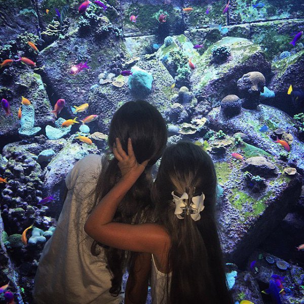 # # # #waterbabies #love