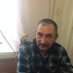 ���������, ���������, 65 ���