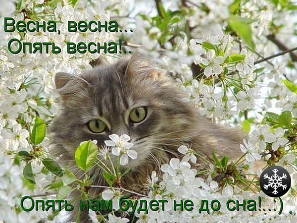       - 3  2015  21:03