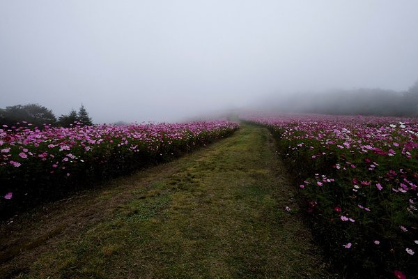 tumblr - 5  2015  16:21