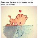  ,  -  19  2015    