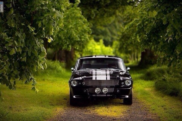 Shelby GT500E - 2