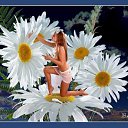 ���� �����!!������� ������, ������������ - ��������� 25 ������� 2015 � ������ ���� ����������