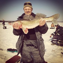 ���� �������, ������ - ��������� 4 ������ 2015