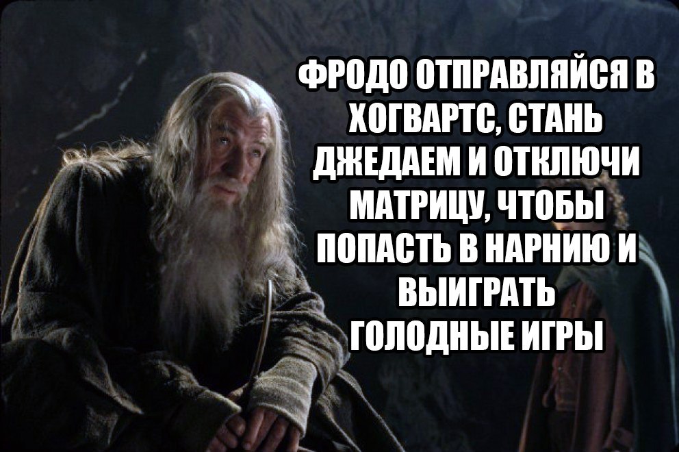 Читай сразу. Фродо ты должен поступить в Хогвартс. Читать несколько книг одновременно. Фродо демотиваторы. Попасть в Нарнию.