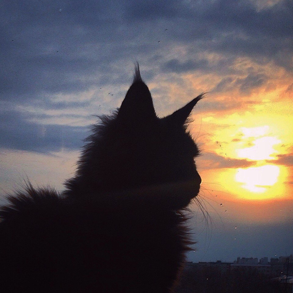       - 10  2015  16:05