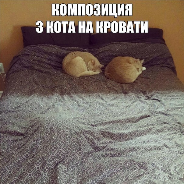  -  - 18  2015  09:22
