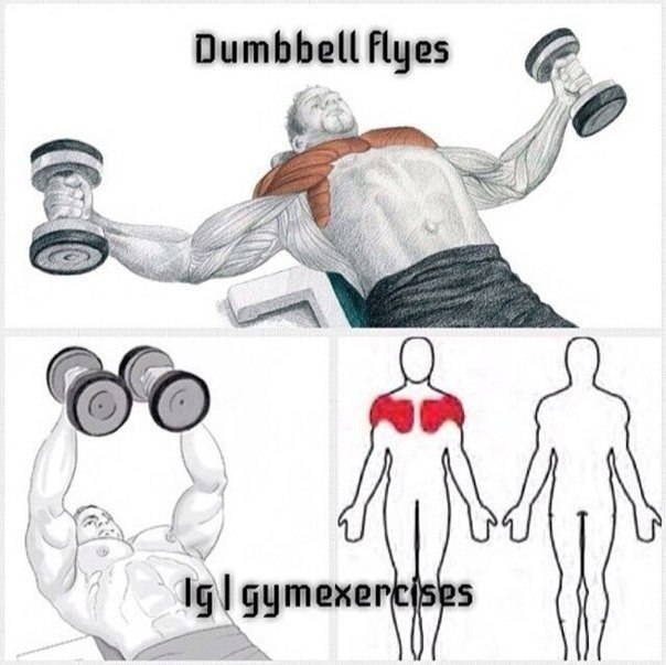    .      ,  ... - 6
