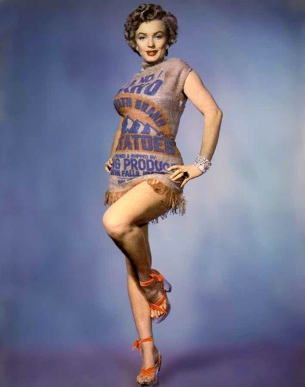    ,        , 1951 .
