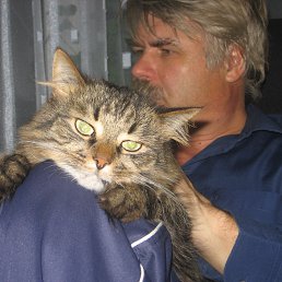 ���� ������, �����-���������, 67 ��� - ��������� 24 ����� 2015