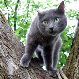 ���� ������, �������, 38 ��� - ��������� 23 ������� 2014