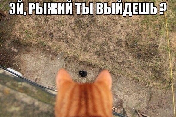   - 14  2014  03:07