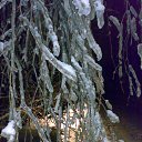 ���� �*, ������, 61 ��� - ��������� 26 ������ 2015 � ������ ������ ��������