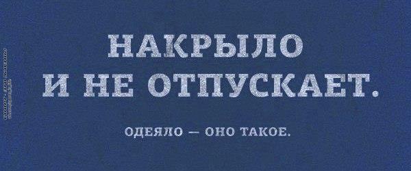  -   - 5  2015  09:08