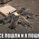 ���� Igor, �����-���������, 61 ��� - ��������� 28 ����� 2015 � ������ ������ ��������