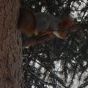 ���� �����, ���� - ��������� 21 ����� 2015 � ������ ���� ����������