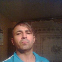 ������, �����-���������, 51 ���