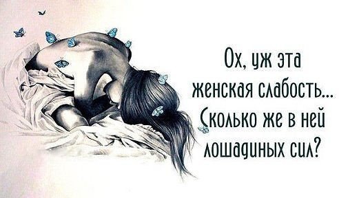  - 2  2015  13:15
